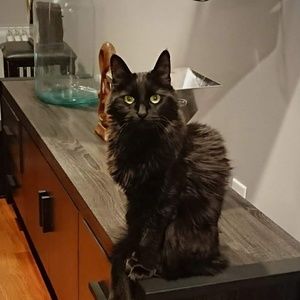 Meet your Posher, Angela